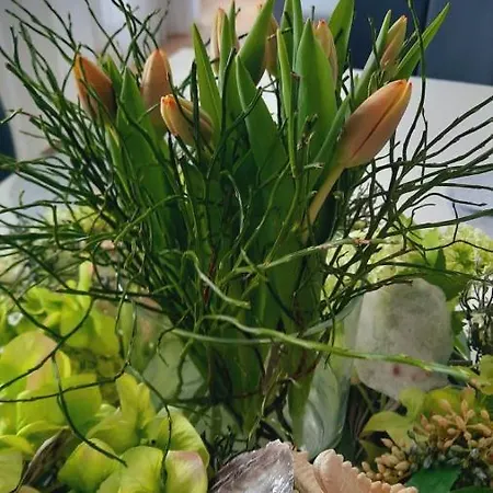 Apartment Viktoria Deluxe Direkter Meerblick *