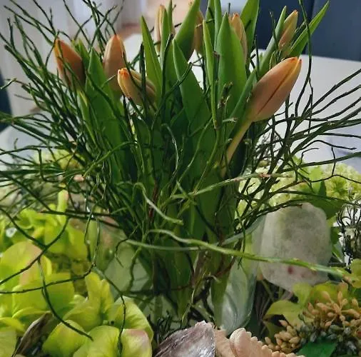 Apartment Viktoria Deluxe Direkter Meerblick *